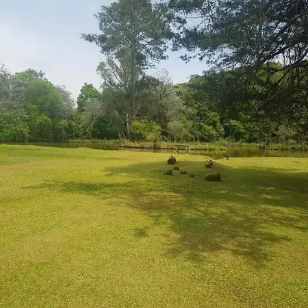 Casa de Campo - Chácara em Curitiba Santa Felicidade-2